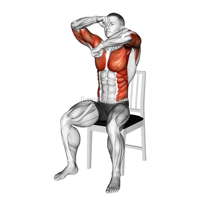 Seated Rotating Boxing Rolls on a Chair demonstration