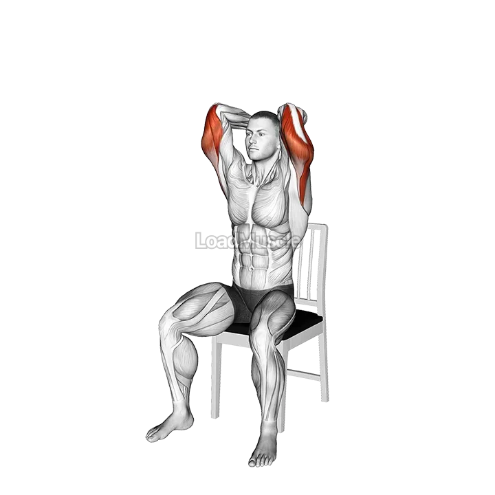 Seated Overhead Triceps Extension on a Chair demonstration