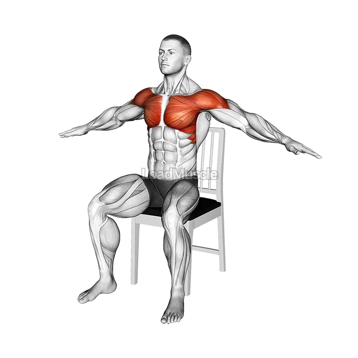 Seated Underhand Arm Circle on a Chair demonstration