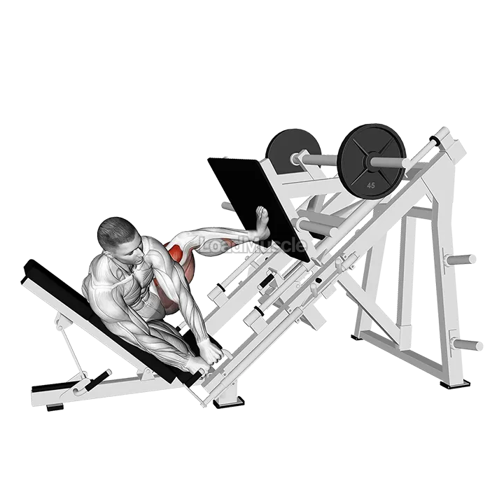 Sled Side Leg Press demonstration