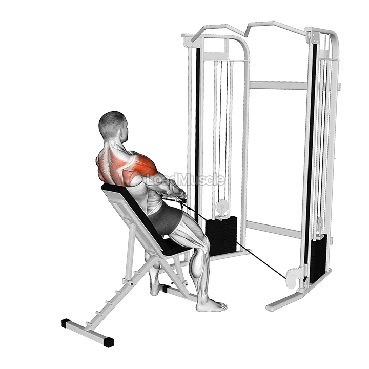 Cable Incline Y Raise with Back Support demonstration