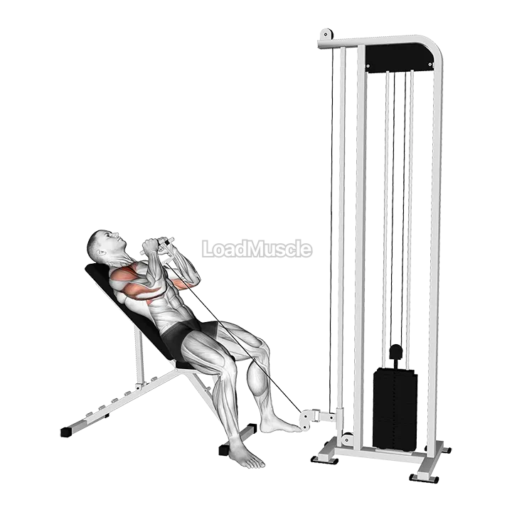 Cable Incline Close Grip Shoulder Press with V-Bar demonstration