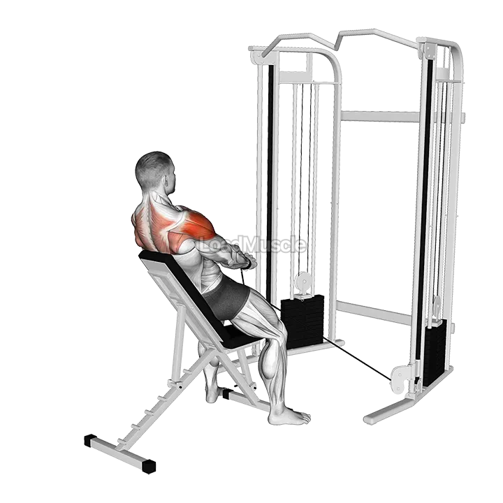 Cable Incline Y-Raise Wrist Straps with Back Support demonstration