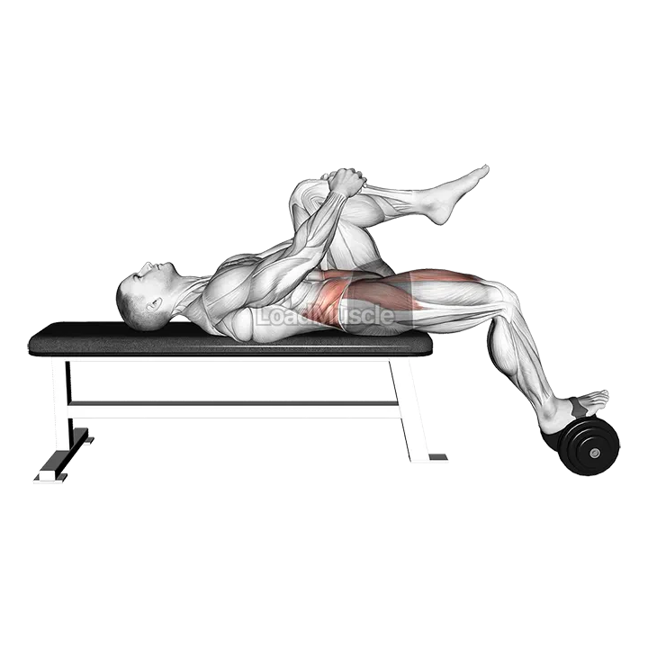 Weighted Dumbbell Lying Knee Raise demonstration