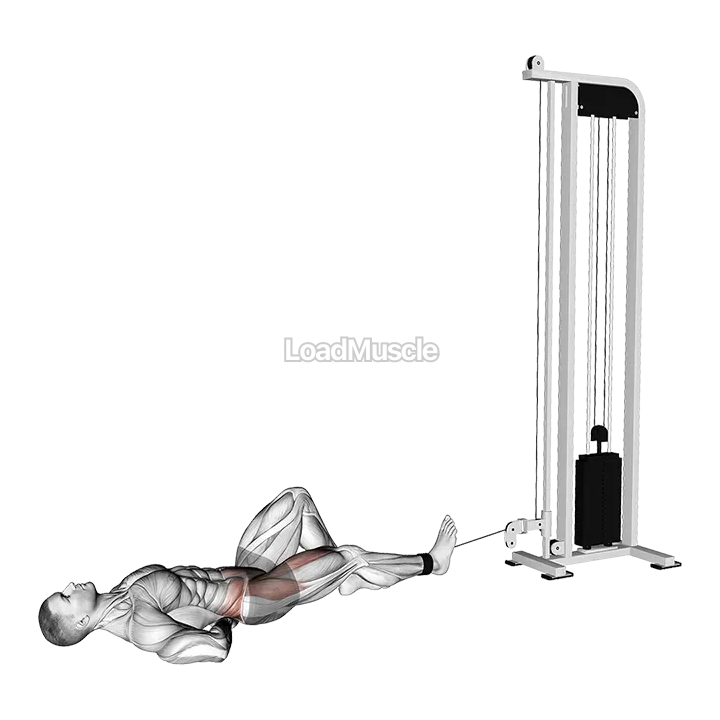 Cable Lying Single Leg Hip Flexion demonstration