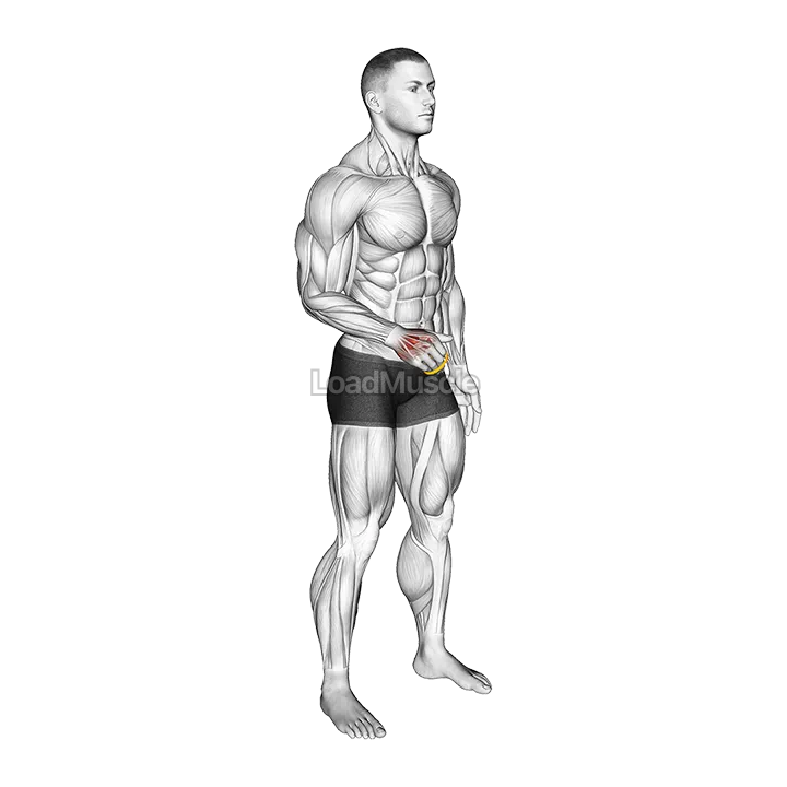 Resistance Band Fingers Extension demonstration