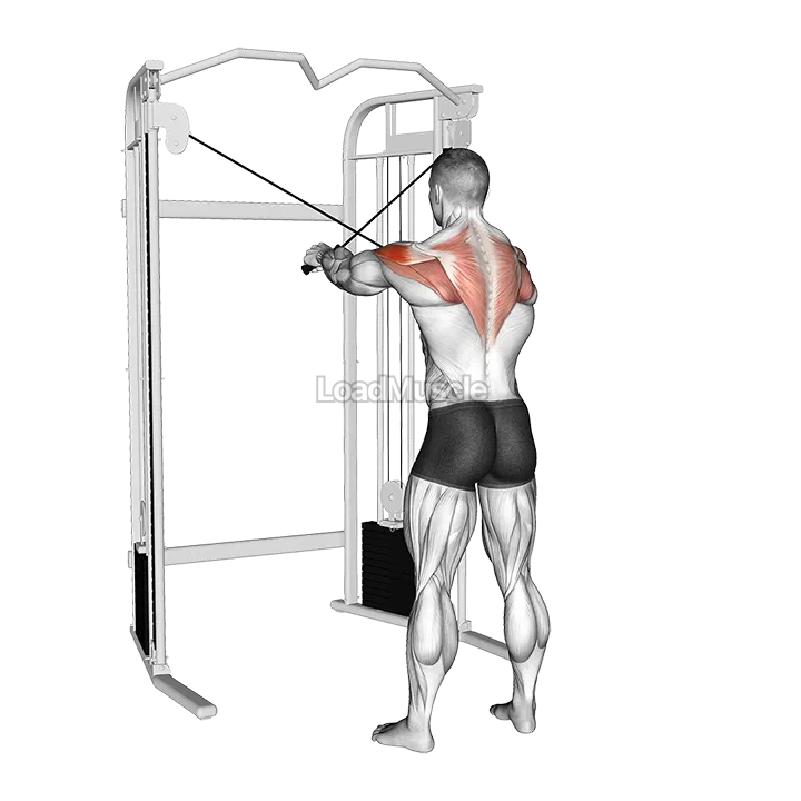 Cable 45 degrees Reverse Fly demonstration