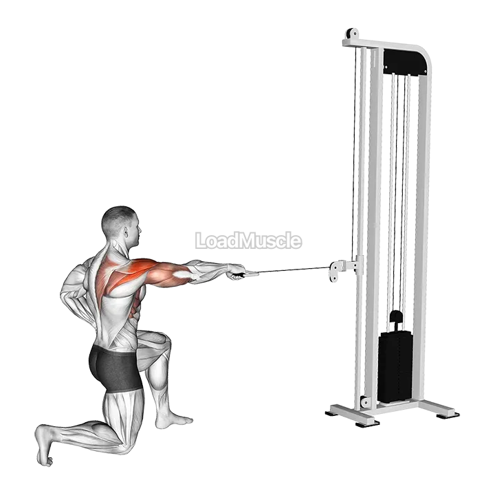 Cable Half Kneeling External Rotation Press demonstration