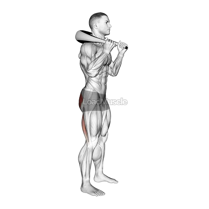 Weighted Bag Good Morning demonstration