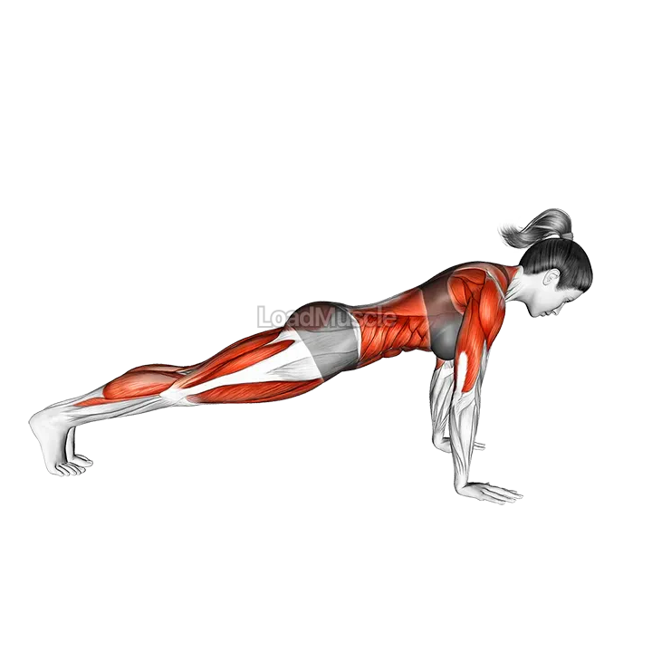 Knee Tuck Push-up demonstration