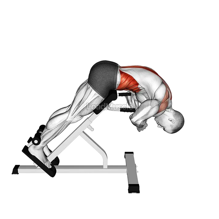 45 degrees Back Extension Scapular Adduction demonstration