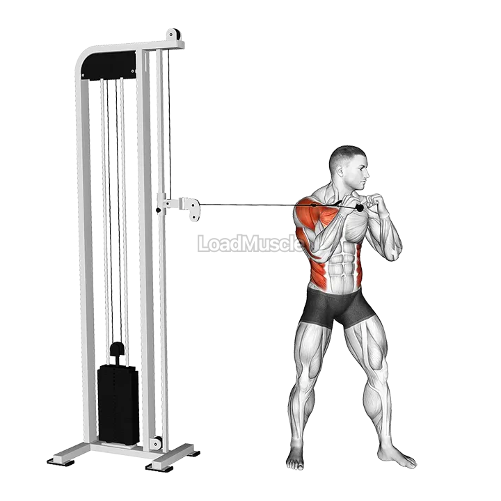 Cable Standing Jab demonstration