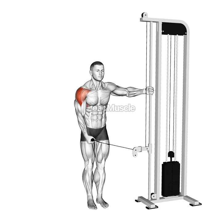 Cable Single Arm Lateral Raise demonstration