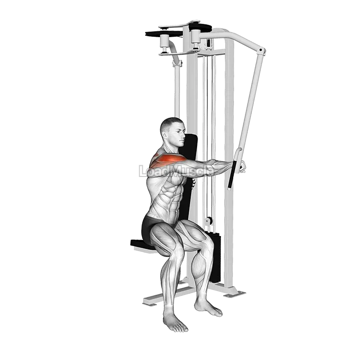 Lever Side Seated Single Arm Rear Delt Fly demonstration