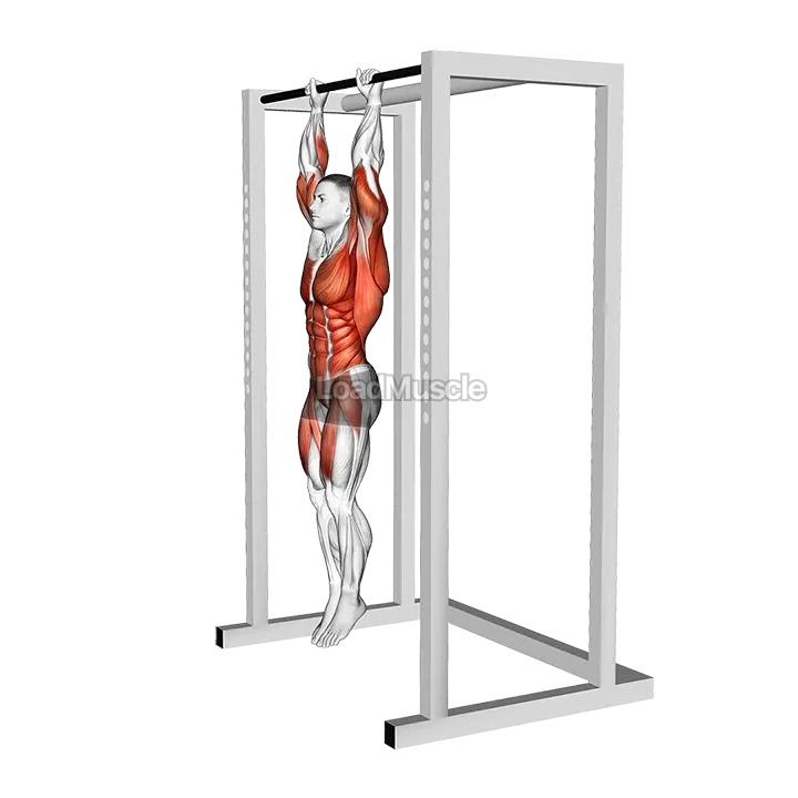 Hanging Advanced Tucked Front Lever Hold demonstration