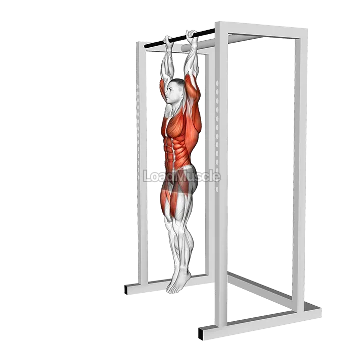 Hanging Front Lever Hold demonstration