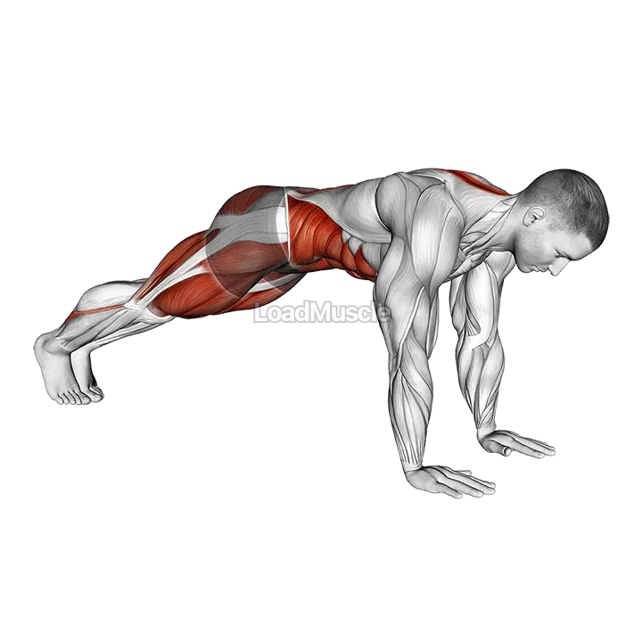 Mountain Climber Cross Kick demonstration