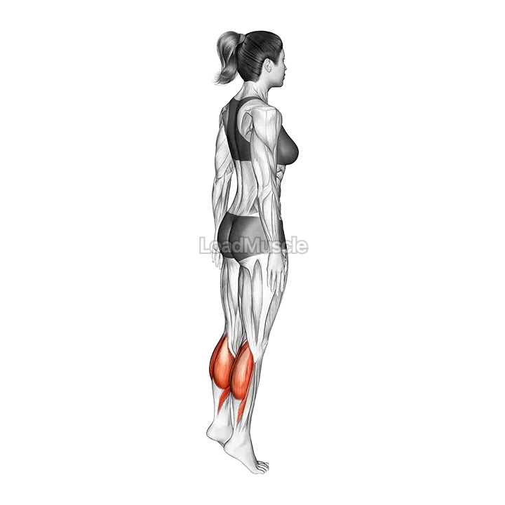 Standing Isometric Hold Calf Raise demonstration