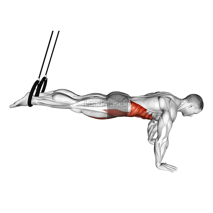 Ring Isometric Hold Reverse Ab Rollout demonstration