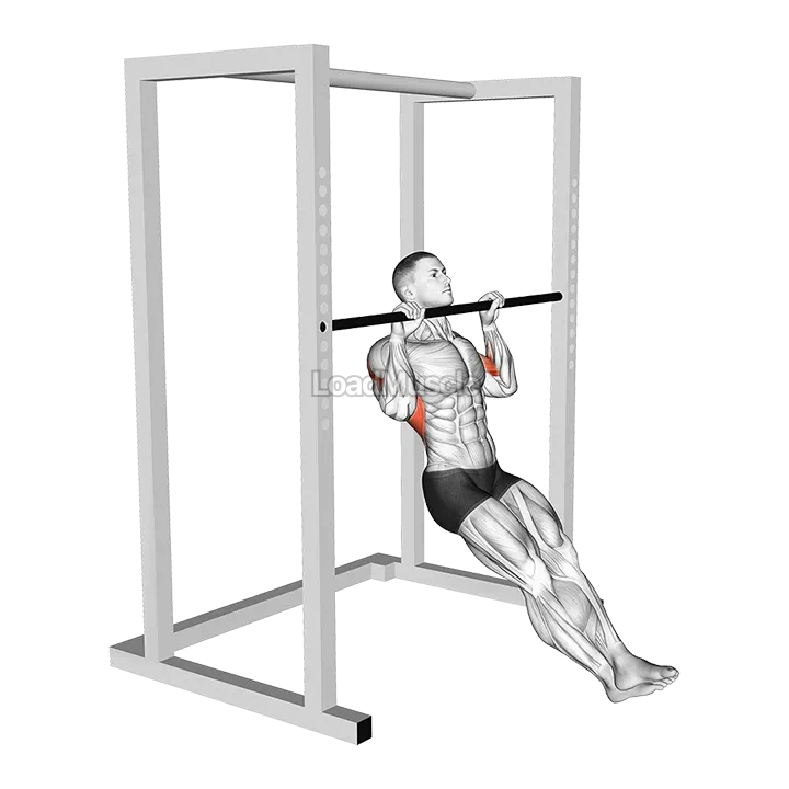 Seated Isometric Hold Pull up demonstration