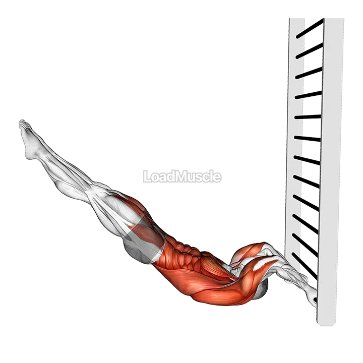 Lying Floor Negative Half Dragon Flag demonstration