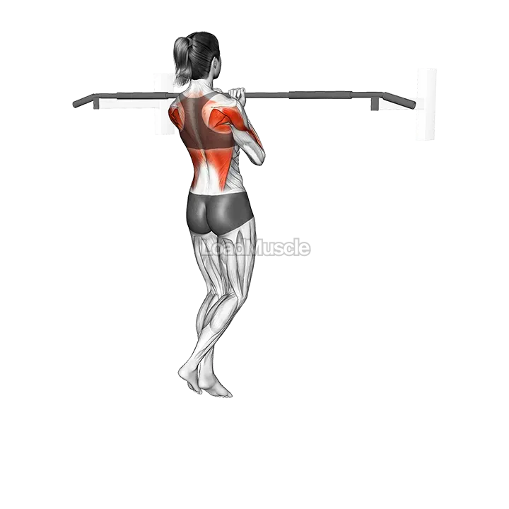 Isometric Hold Close Grip Chin-up demonstration