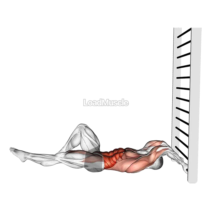 Lying Floor Single Leg Negative Dragon Flag demonstration