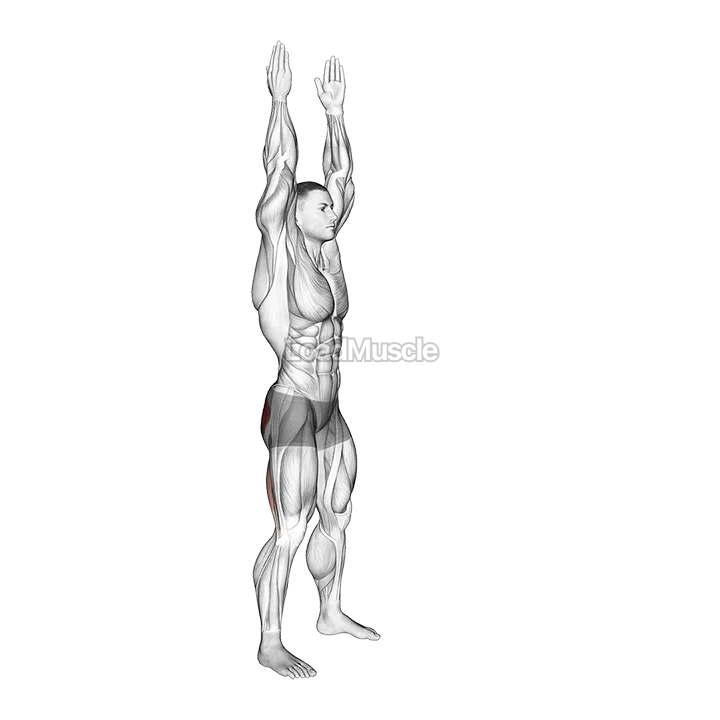 Long Lever Standing Hip Extension demonstration