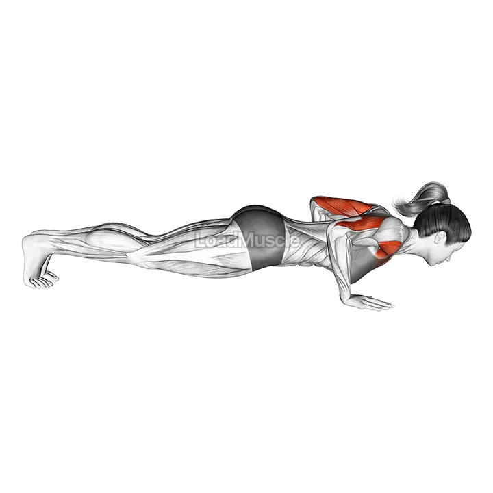 Isometric Hold Push-up demonstration