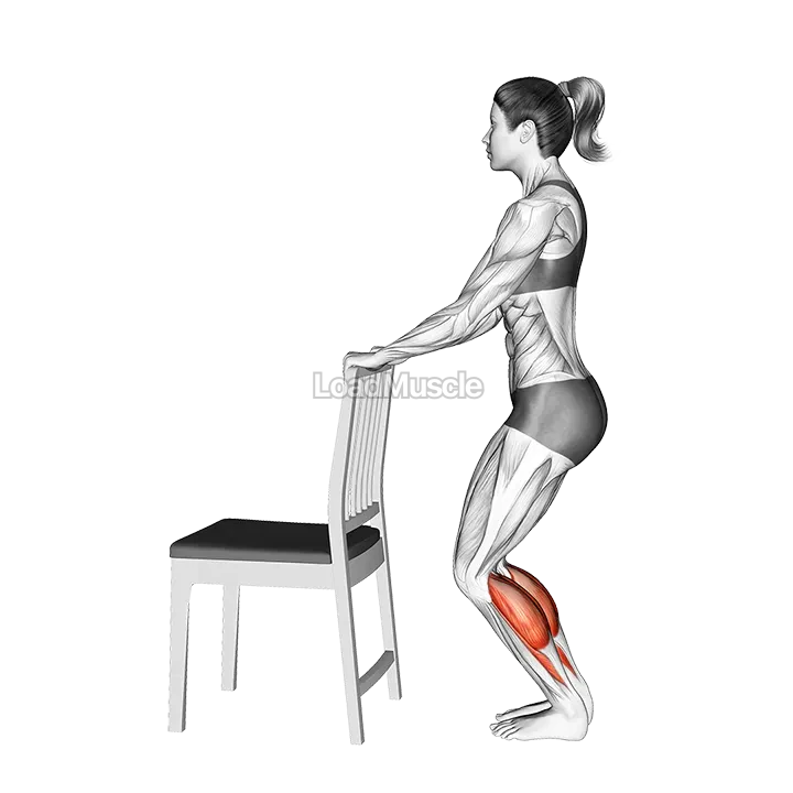 Standing Bent Knee Calf Raise with a Chair Support demonstration