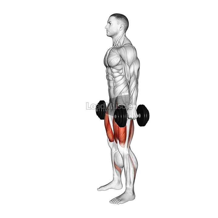 Dumbbell Romanian Deadlift to Squat demonstration