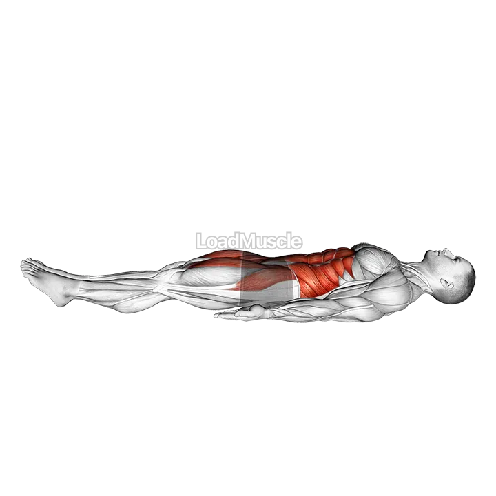 Dish Hold demonstration