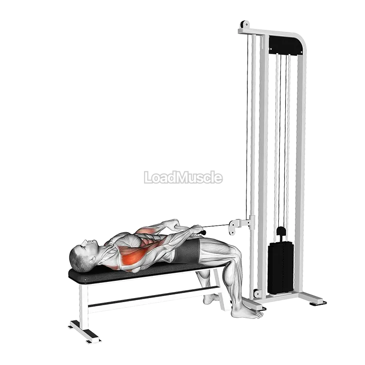Cable Lying Upright Row (SZ bar) demonstration