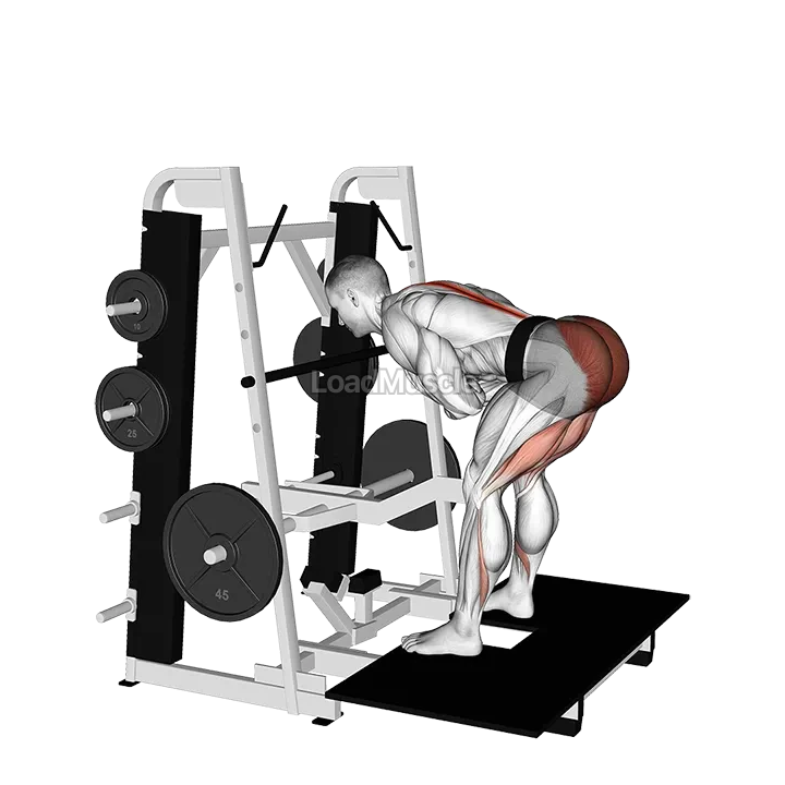 Lever Belt Romanian Deadlift demonstration