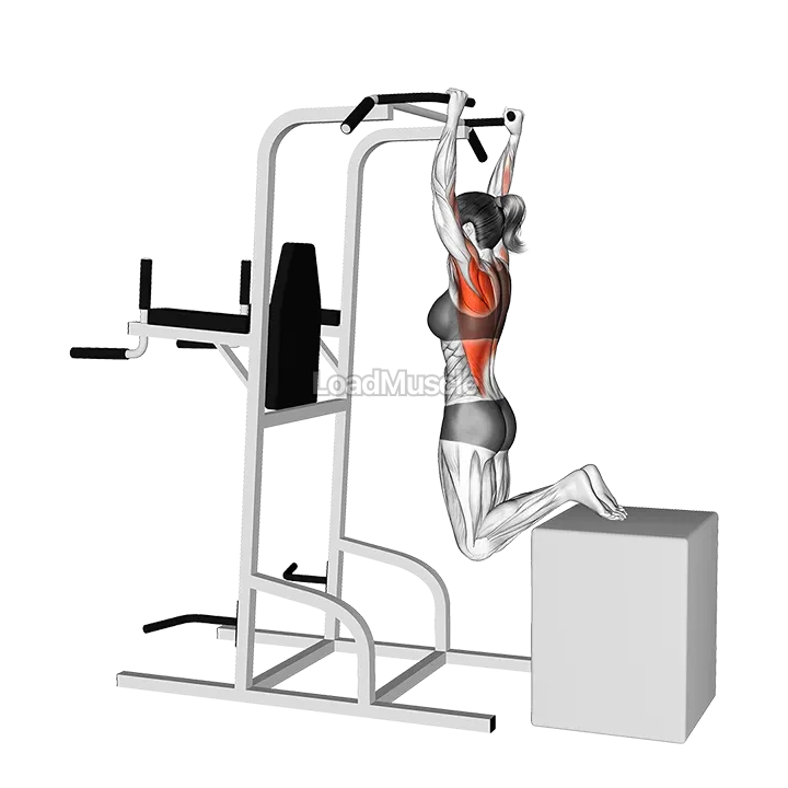 Box Assisted Pull-up demonstration