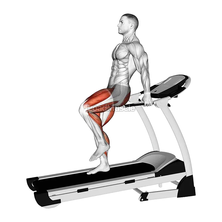 Walking Backward on a Treadmill demonstration