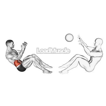 Assisted Motion Russian Twist