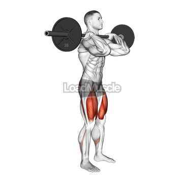 Barbell Clean grip Front Squat