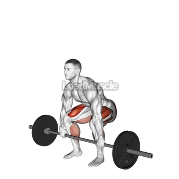 Barbell Deadlift