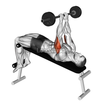 Barbell Decline Close Grip To Skull Press