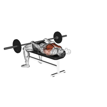 Barbell Front Raise and Pullover