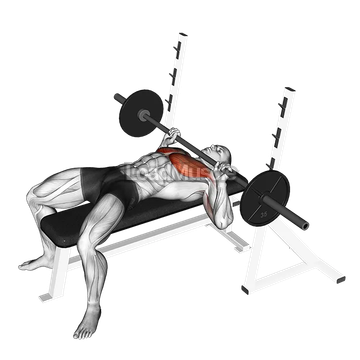 Barbell Guillotine Bench Press