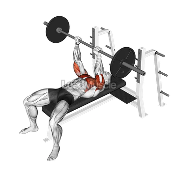 Barbell JM Bench Press