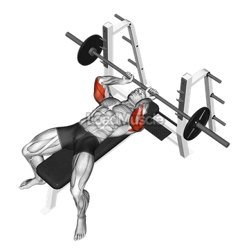Barbell Lying extension