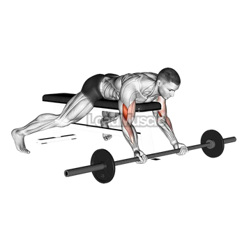 Barbell Lying Preacher Curl