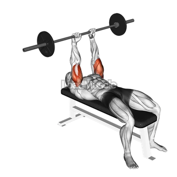 Barbell Lying Triceps Extension