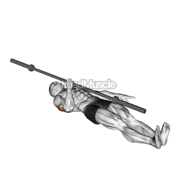 Barbell One Arm Floor Press