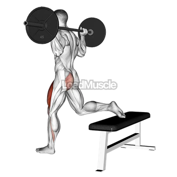 Barbell One Leg Squat