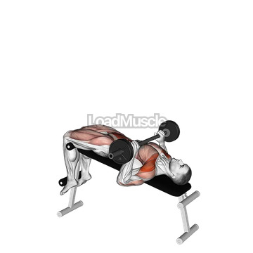 Barbell Press Sit Up