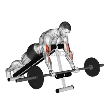 Barbell Prone Incline Curl